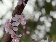 -白塔山公园