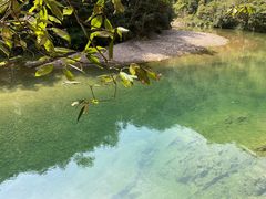 -龙湾潭国家森林公园