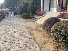 -南京老山国家森林公园