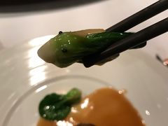 -苏浙总会(国金中心店)