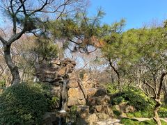 -秋霞圃