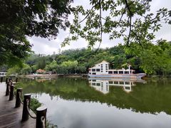 -深圳仙湖植物园