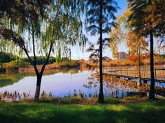 -贡湖湾湿地公园