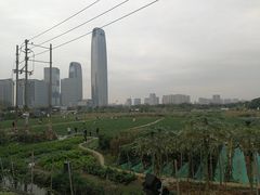 -黄埔古港