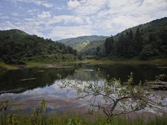 -长虫山生态公园风景林