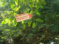 -牛鱼嘴原始生态风景区