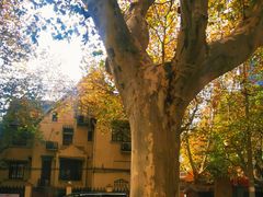 -常熟路(地铁站)