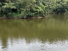 -滴水岩森林公园