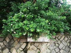 -福建师范大学(仓山校区)