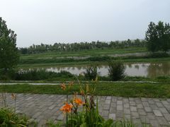 -洨河生态公园