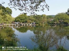 -西湖外事游船(花港观鱼码头)