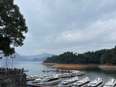 -黄山太平湖风景区