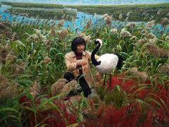 -盐城丹顶鹤湿地生态旅游区