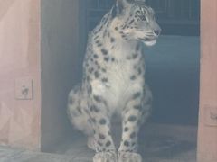 -青藏高原野生动物园