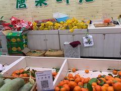 -八仙台服务区-停车场