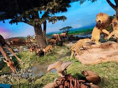 -国家自然博物馆