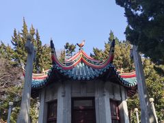 -叶家花园