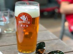 -Boxing Cat Brewery拳击猫精酿啤酒馆(永福店)