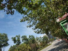 -三圣花乡旅游区