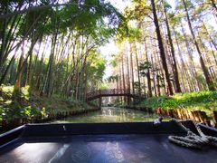 -同里国家湿地公园