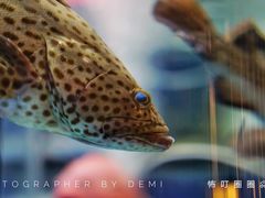 -钟菜·粤菜点心·宴请(海上世界·汇港二期店)