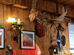 -VIKING SALOON西部美式烟熏烤肉(和平路店)