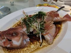 -79号渔船海鲜饭店(天河北店)