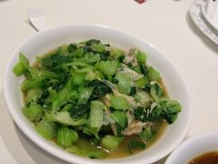 腐皮炒青菜-绍兴饭店知遇楼(环山路店)