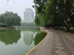 -团结湖公园