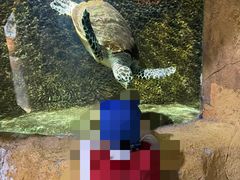 -青藏高原野生动物园