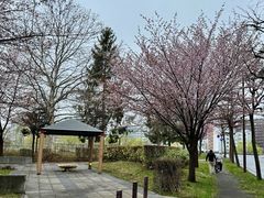 -大通公园