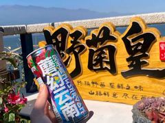 -野菌皇海景野生菌火锅(滨海大道店)