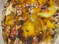 -鑫巴蜀小镇 · 水煮鱼专研店(玉桥店)