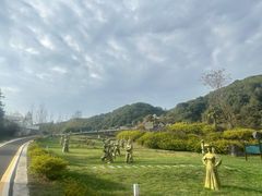 -贵州百里杜鹃风景名胜区
