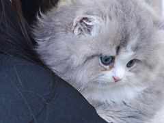 -85度C(南京龙江店)