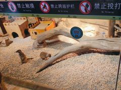 -绿色星球动物主题公园