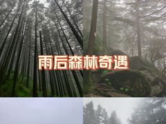 -芦芽山旅游度假区