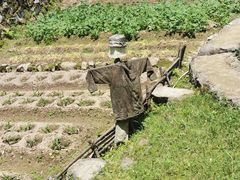 -会稽山峡洞漂流-上青古道