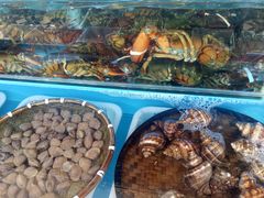 -港畔赶海蒸汽海鲜烧烤自助(仙螺岛店)