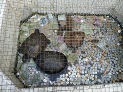 -王家大院