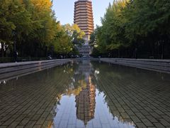 -玲珑塔公园