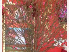 -广州逸林假日酒店·四季桃源中餐厅(白云山风景区店)