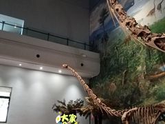 -自贡恐龙博物馆