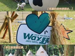 -南宁良凤江国家森林公园