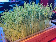 -大头椰·椰子鸡火锅(南宁万象城店)