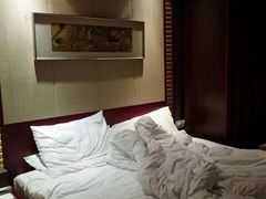iphone_upload_pic-成都瑞城名人酒店