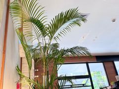 -YOLO COFFEE悠乐咖啡