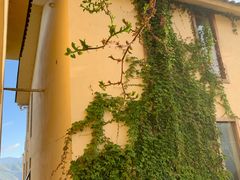 -泸沽湖国家级风景名胜区走婚桥