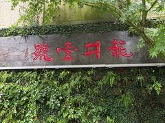 -龙井壹号·茶缘山景宴(龙井村店)