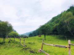 -大水川景区